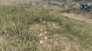 传奇新手常见问题解答：快速解决你的游戏困惑！