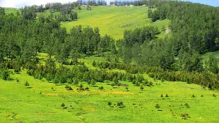 传奇新手必看：术语全解析，快速融入玛法大陆！